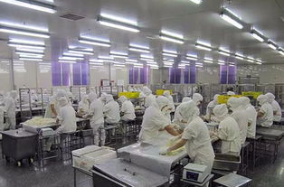 食品廠空氣環境無菌凈化方案及消毒滅菌技術應用開發指南